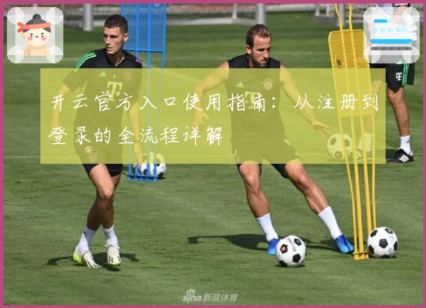 开云官方入口使用指南：从注册到登录的全流程详解